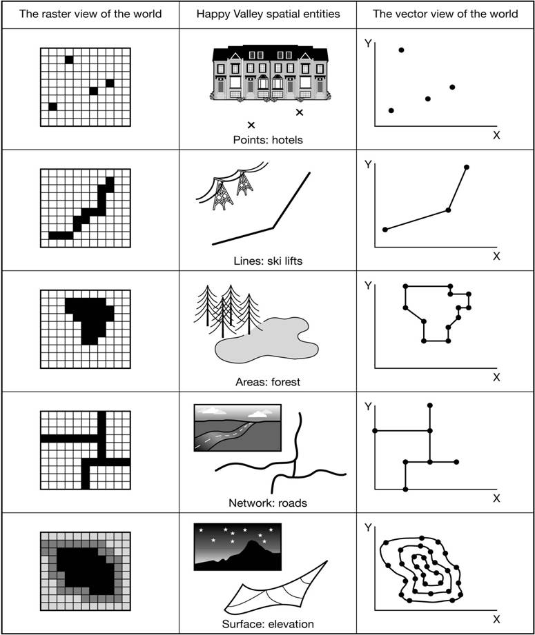 vector or raster