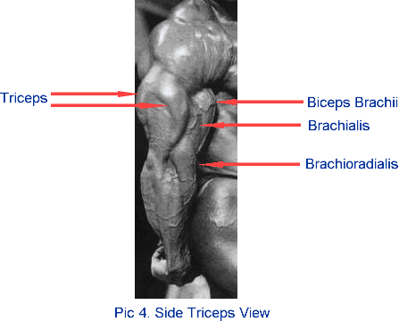 image: side-of-straightarm