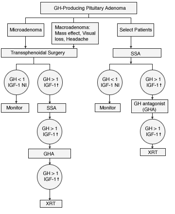 gh acromegaly