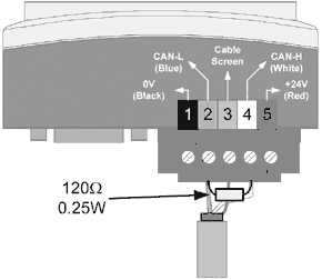 devicenet trunk