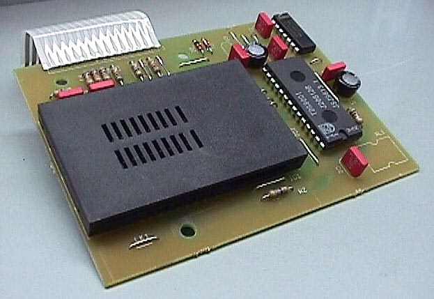 embedded microchip