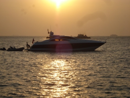 bayliner maxum