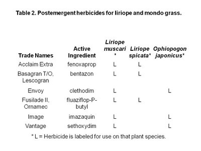 momentum herbicide