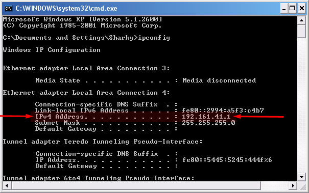 embedded ipv4