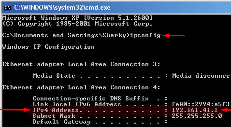 embedded ipv4