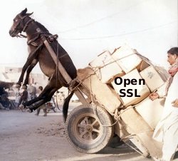 embedded ssl