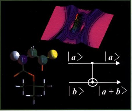 quantum information