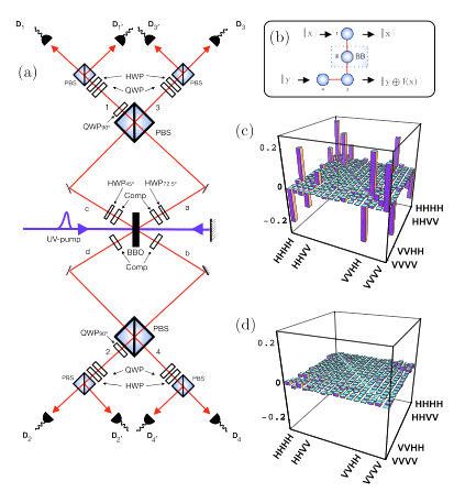 quantum algorithms