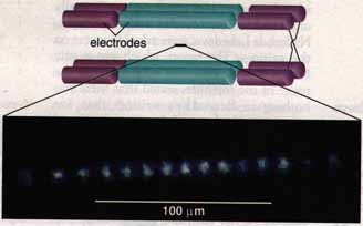 quantum connection