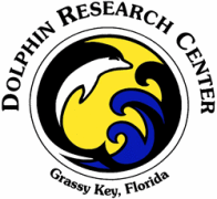 dolphin research center