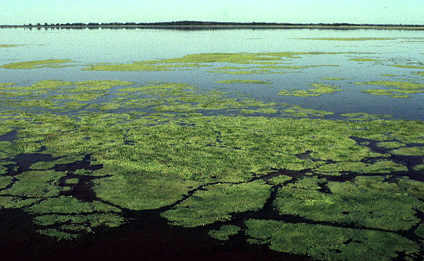 devils lake nd