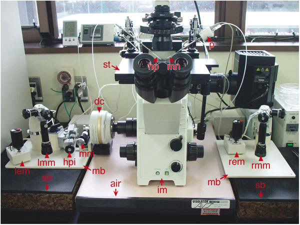 micromanipulator