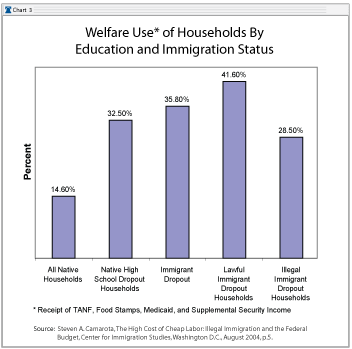 immigration status