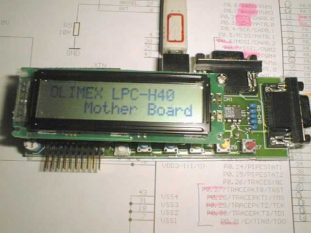 arm lpc2106