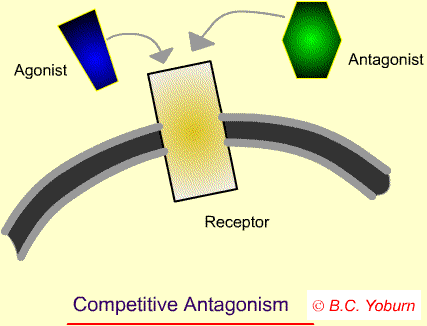 competitive antagonism