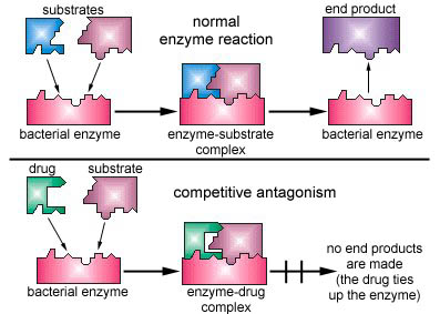 competitive antagonism