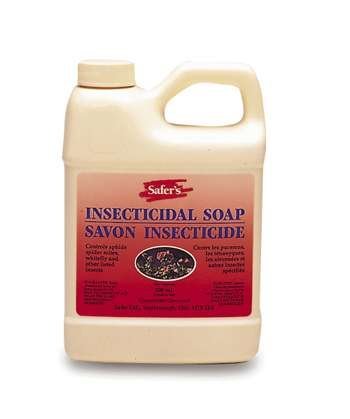 natural insecticide