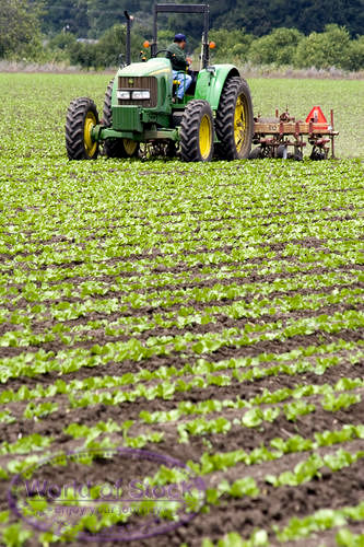 farm tractor