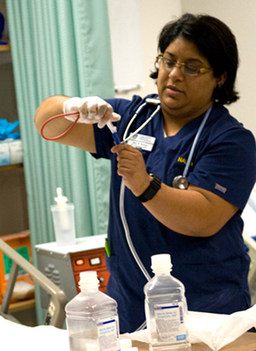 accelerated nursing programs