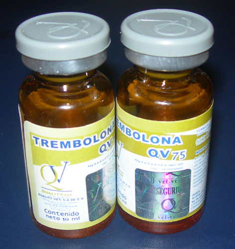 qv sustanon