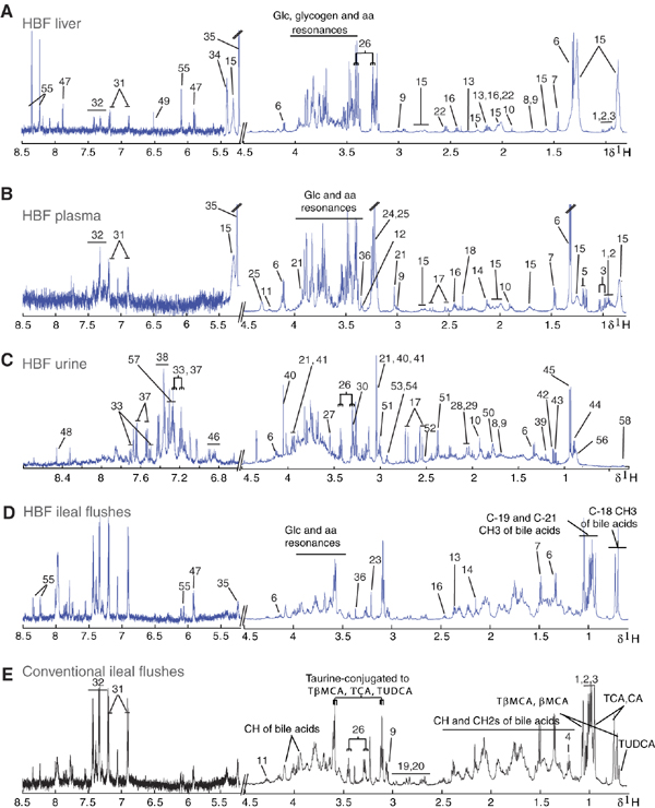 nmr spectra