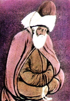 mohammad ibn