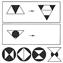 intelligence test