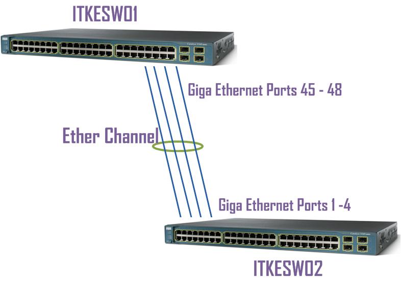 protocol in