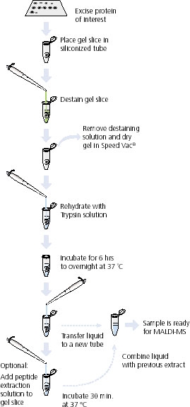 igd protocol