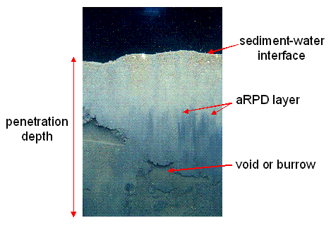 spi source code